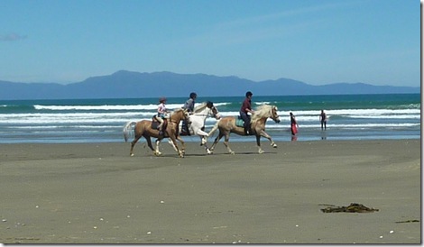 Closer Gallop