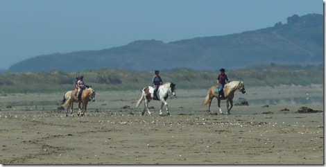 Closer on beach