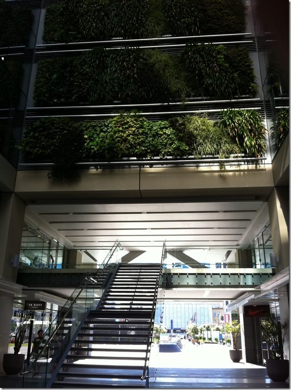 precinct with plants